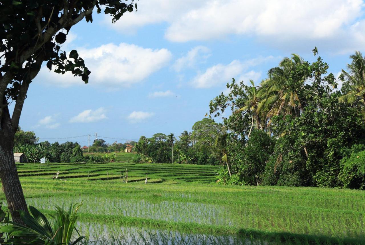 Tamu Seseh Villa Canggu  Exterior photo